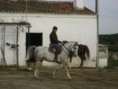 /album/galeria-de-fotos-zippo/cavalos1-079-jpg/